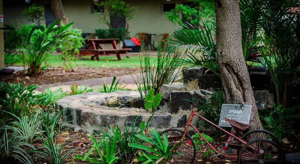 Ashdot Yaacov Ichud Kibbutz Country Lodging Extérieur photo